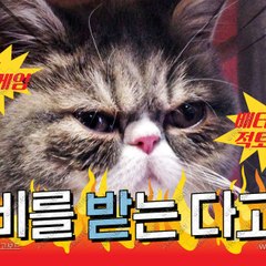 망치게임_ 탱크게임_01058551667