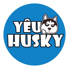Yêu Husky