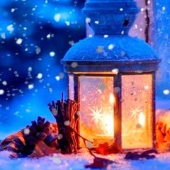 Αστέρια στην άμμο