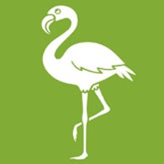 journaldusenegal TV