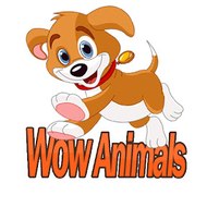 Wow Animals