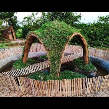 Evolution Primitive Time