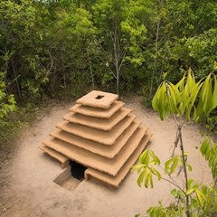 Jungle Survival