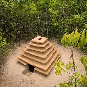 Jungle Survival