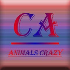 Animals Crazy