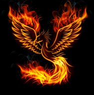 Phoenix Man