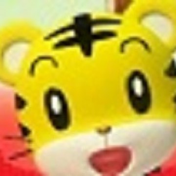 小虎的家-Little tiger's home