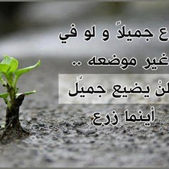 معلومات هامة
