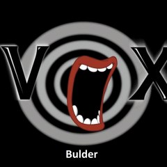 VoxBuilder