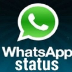 All WhatsApp status