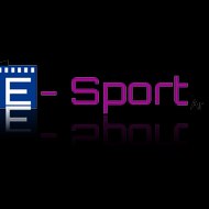 E - Sport