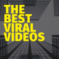 The Best Viral Videos