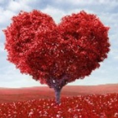 Só Love