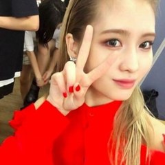 파워볼언더/파워볼오버/파워볼홀/파워볼짝/파워볼주소/http //oc2-pm002.com/