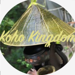 kohokingdom