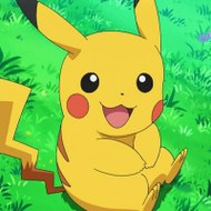 Pokemon Highlight Battle