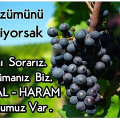 haber