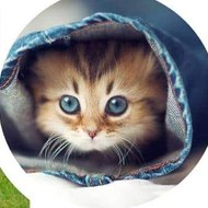 Pets lover-Animal lover