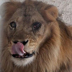 dm_c3713209ed5df53b79444b16f0b32dc3