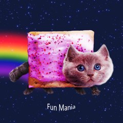 Fun Mania
