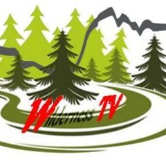 Wilderness TV