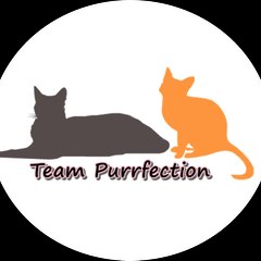 Team Purrfection