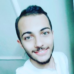 Mahmoud Mohamed Abd Eltwab