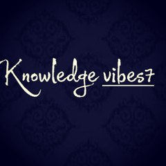Knowledge vibes7