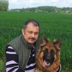 salegosse2