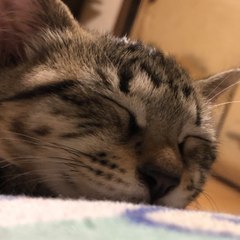 少年A 田舎に住む