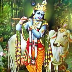 ABC assamese entertainment