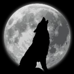 DARK KING WOLF DRACO MAL WOLFER
