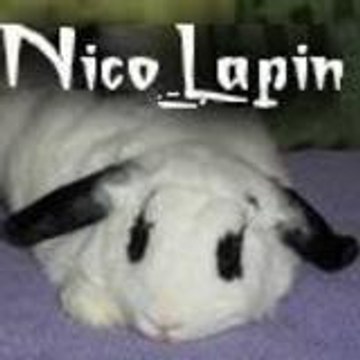 nicolapin