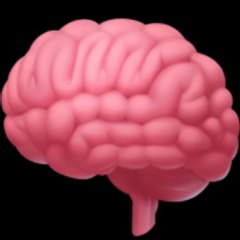 Brain Shine