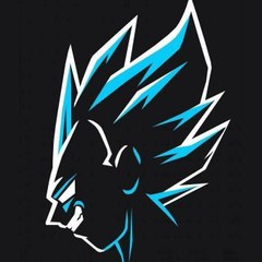 Vegeta__PT
