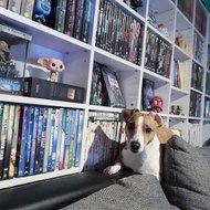 dm_c97d9e6a51259d7becb13de33fc7f836