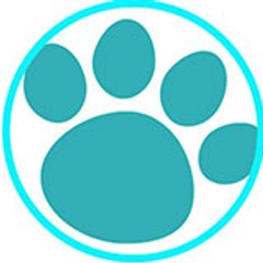Pet Posts