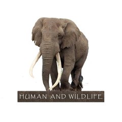 Human and Wildlife