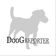 DooG Reporter | stories to share
