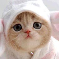 EnterT(r)aining The World