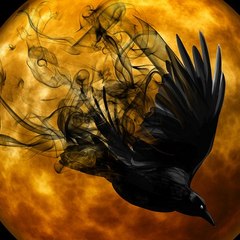 Raven Conspiracies