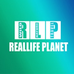 Real Life Planet