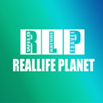 Real Life Planet