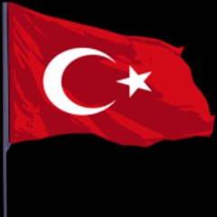 AYYILDIZ TİM