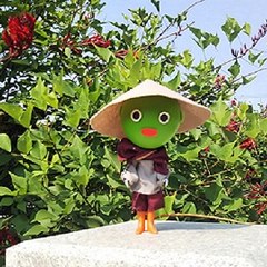 Midoren Adventure