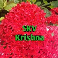 skillsvillagekrishna