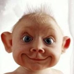 hot funny videos