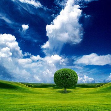 DRX  RA STAR CHENNEL