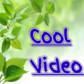 Cool Video
