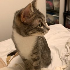 Tech Services By Juliet Gray